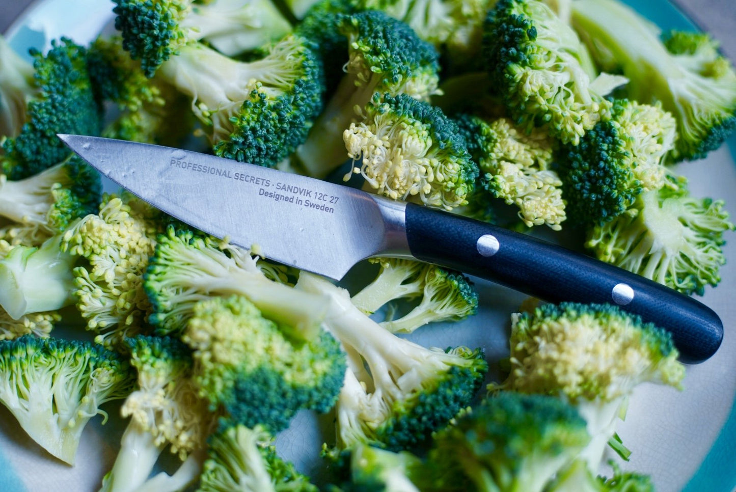 Chef's pairing knife