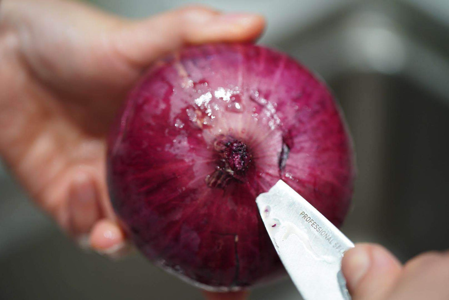 Chef's pairing knife
